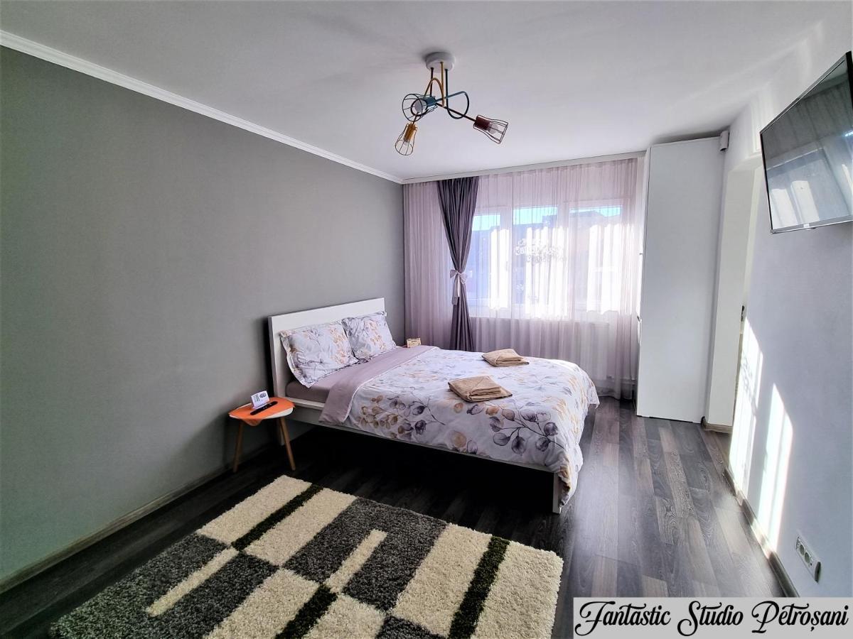 ~Fantastic Studio Petrosani~ Petroşani Exterior foto