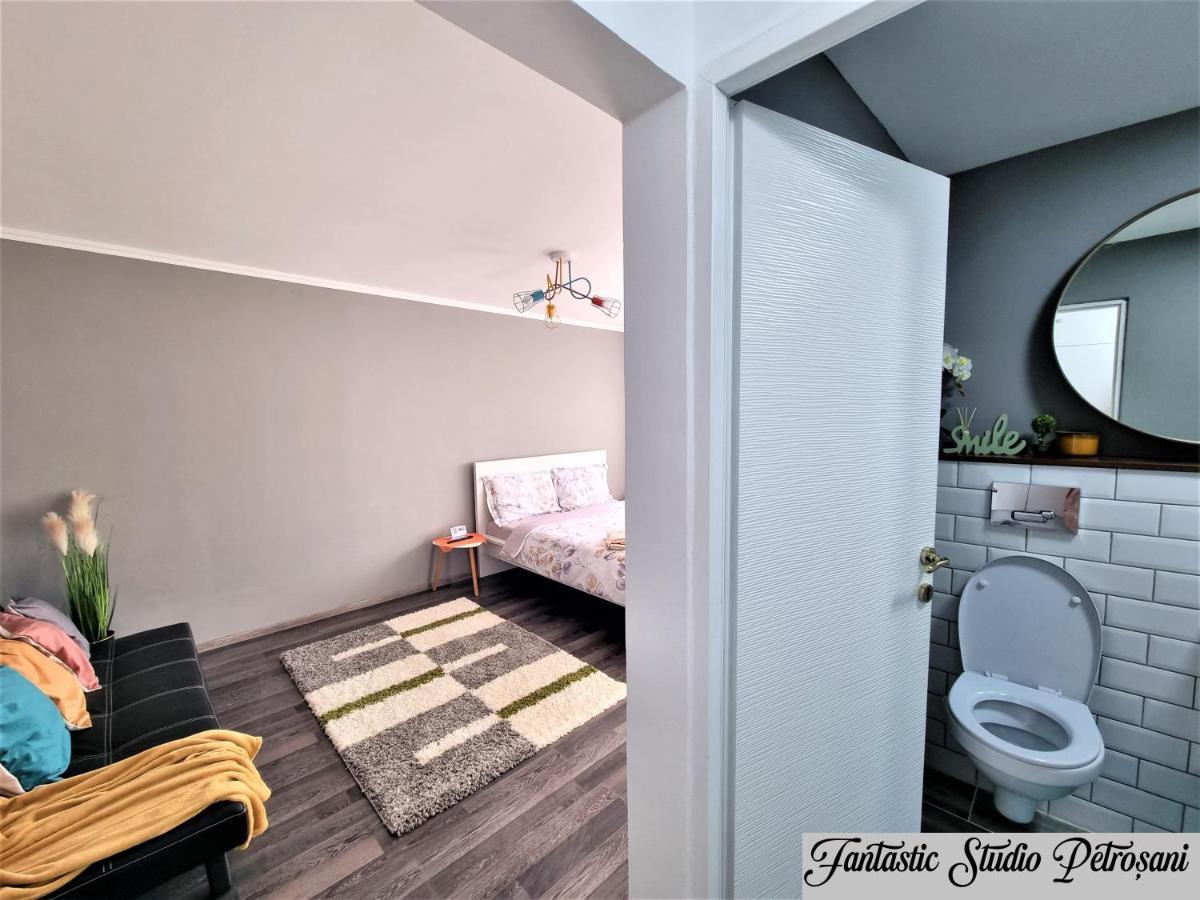 ~Fantastic Studio Petrosani~ Petroşani Exterior foto