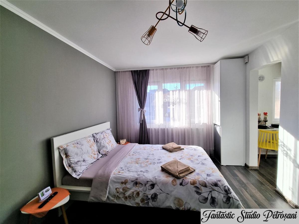 ~Fantastic Studio Petrosani~ Petroşani Exterior foto
